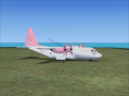 The Dreamlands (Snuzzle) Lockheed C-130 (Digital Image) Digital Image