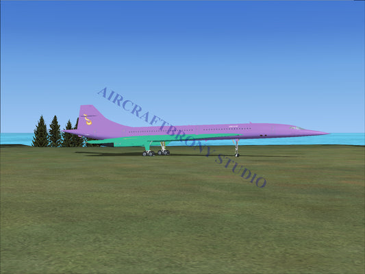 Firelight Aerospatiale Concorde (Digital Image) Digital Image