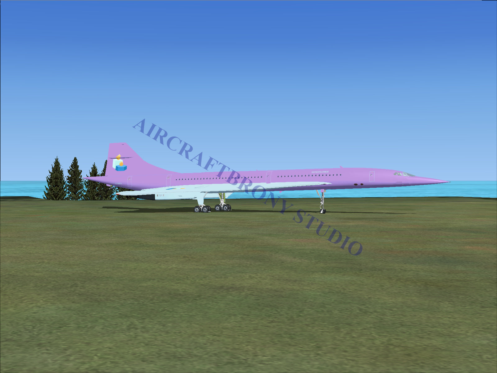 Fond Feather Aerospatiale Concorde (Digital Image) Digital Image