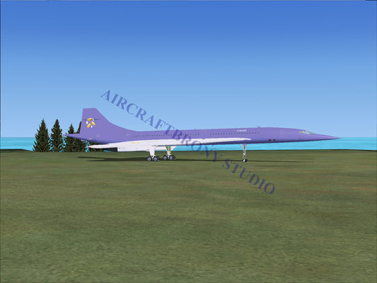Gladmane Aerospatiale Concorde (Digital Image) Digital Image