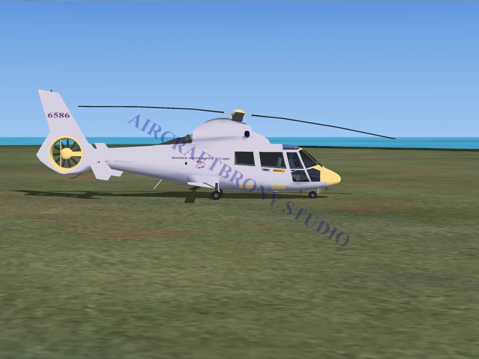 Hoofer Steps Dance Studio Aerospatiale HH65 Dolphin (Digital Image) Digital Image
