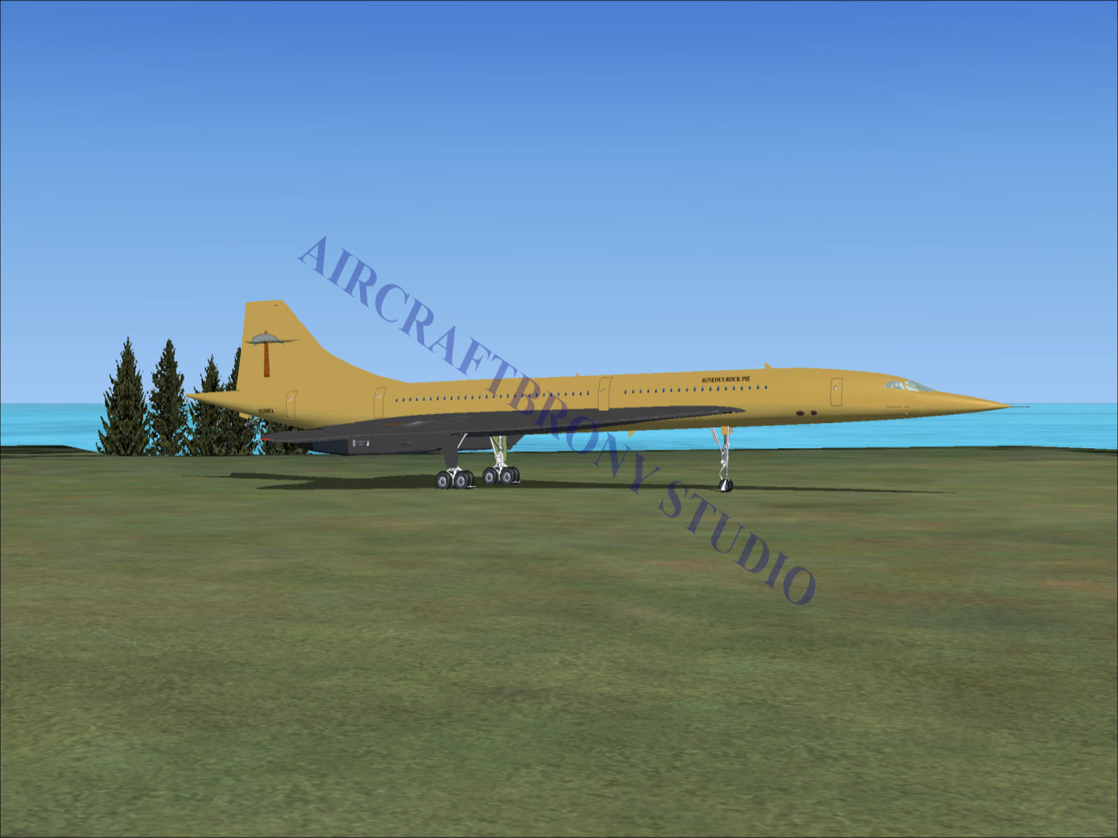 Igneous Rock Pie Aerospatiale Concorde (Digital Image) Digital Image