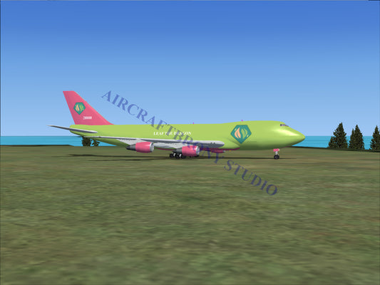 Leaf The Dragon Boeing 747-200 (Digital Image) Digital Image