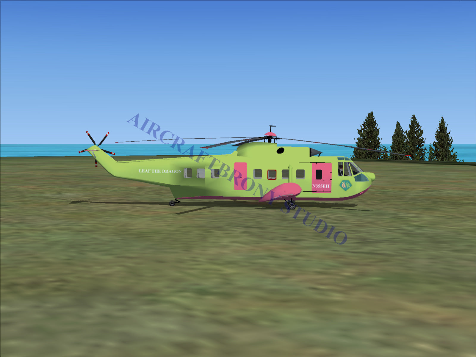 Leaf The Dragon Sikorsky S-61N (Digital Image) Digital Image