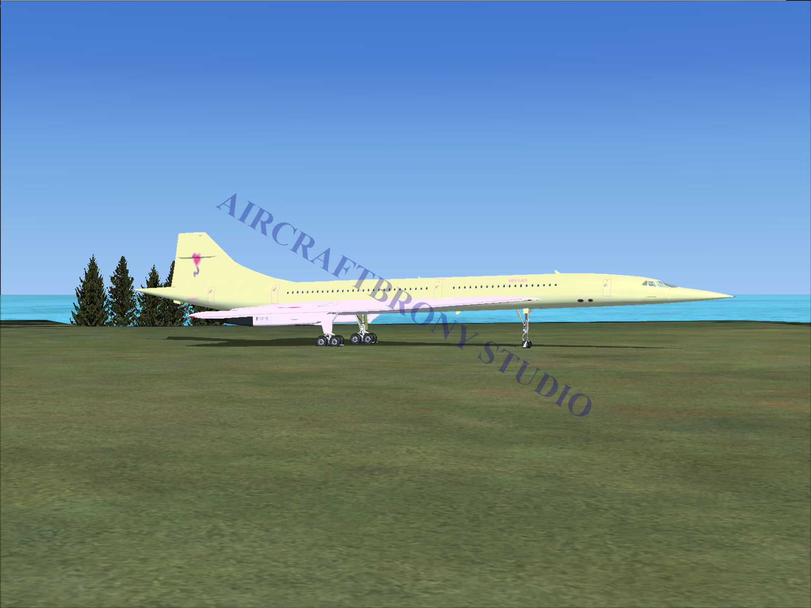 Lily Lace Aerospatiale Concorde (Digital Image) Digital Image