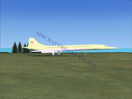 Lily Lace Aerospatiale Concorde (Digital Image) Digital Image