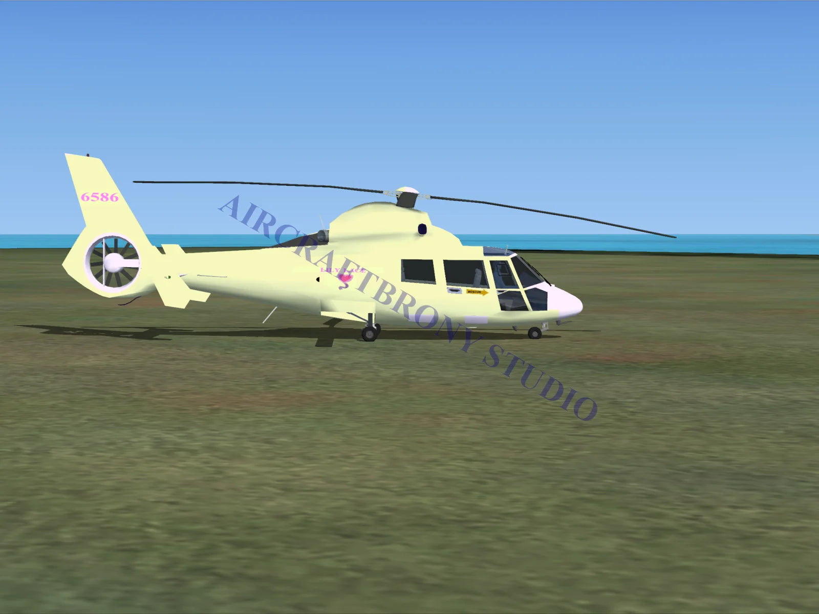Lily Lace Aerospatiale HH65 Dolphin (Digital Image) Digital Image