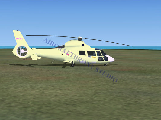 Lily Lace Aerospatiale HH65 Dolphin (Digital Image) Digital Image