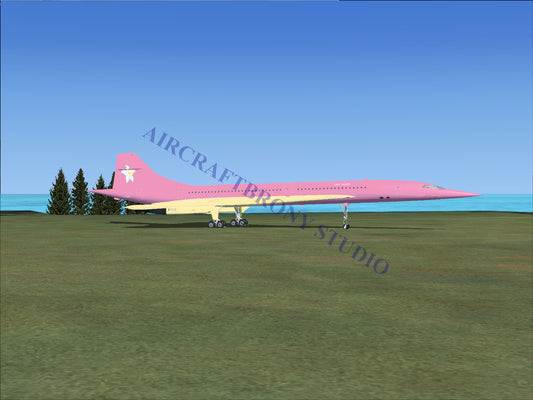 Lily Valley Aerospatiale Concorde (Digital Image) Digital Image