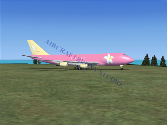 Lily Valley Boeing 747-200 (Digital Image) Digital Image