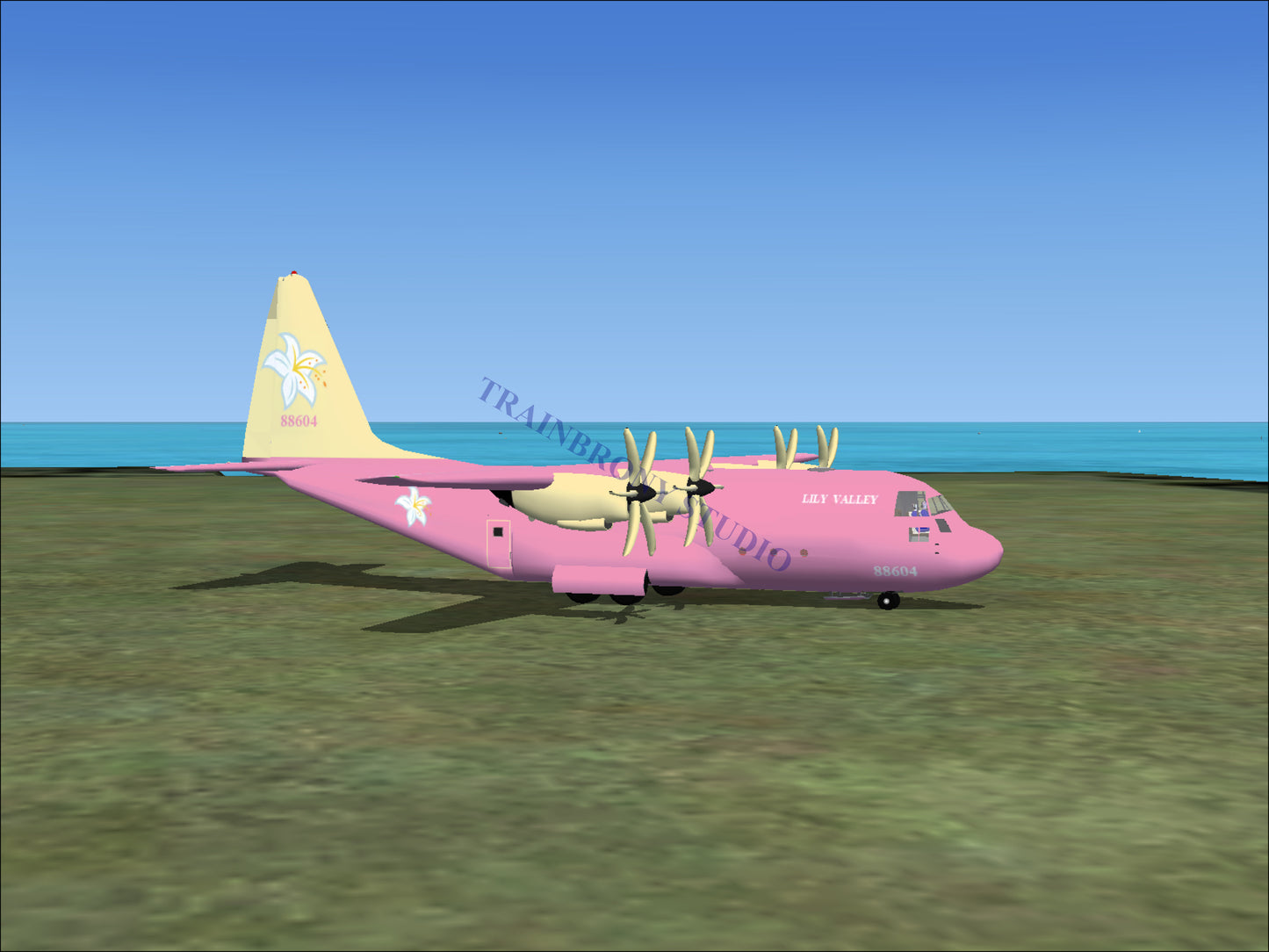 Lily Valley Lockheed C-130 (Digital Image) Digital Image