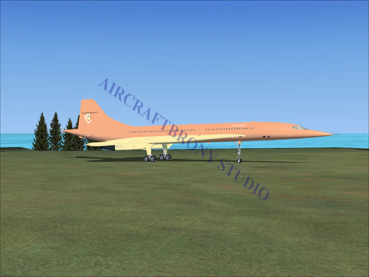 Mane Allgood Aerospatiale Concorde (Digital Image) Digital Image