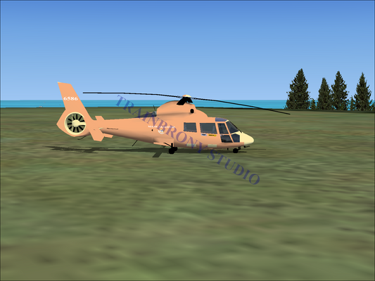 Mane Allgood Aerospatiale HH65 Dolphin (Digital Image) Digital Image