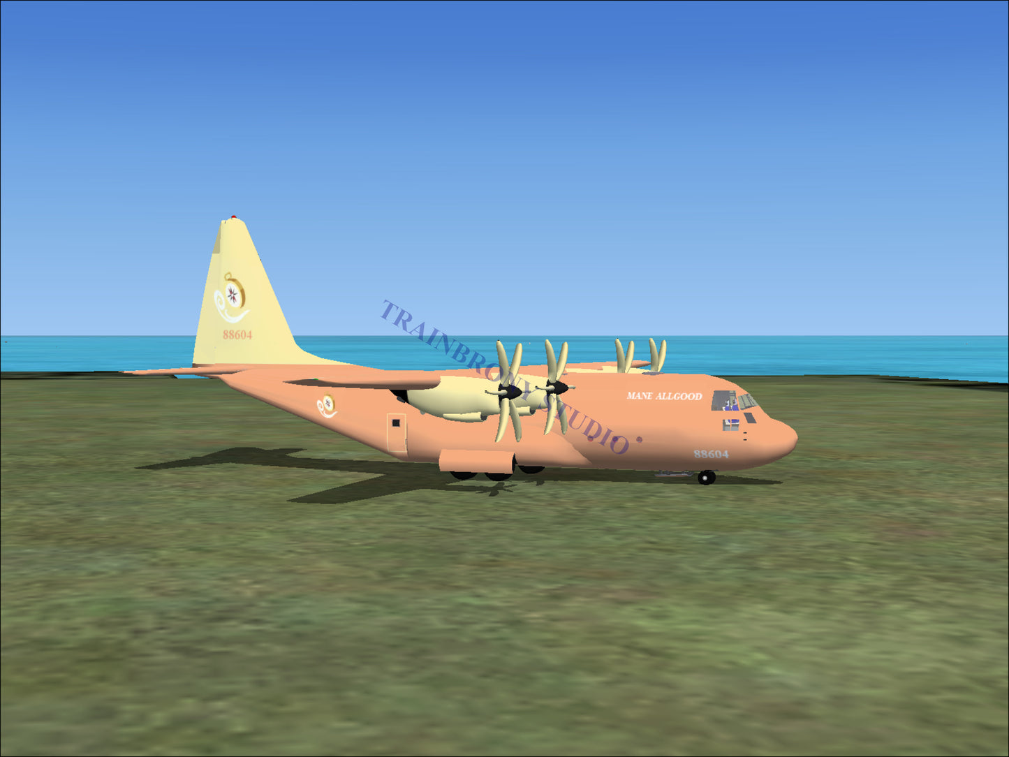 Mane Allgood Lockheed C-130 (Digital Image) Digital Image