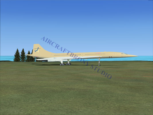 Mayor Mare Aerospatiale Concorde (Digital Image) Digital Image