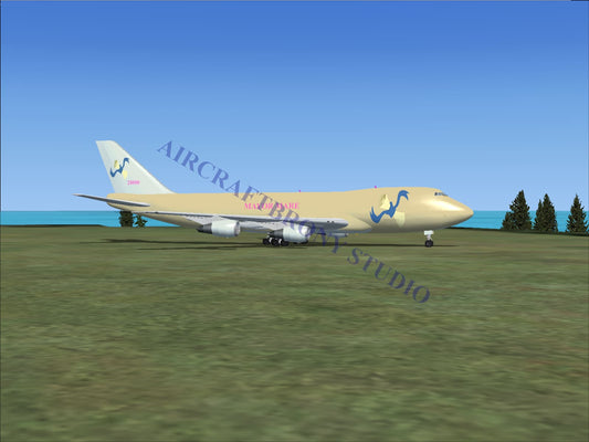 Mayor Mare Boeing 747-200 (Digital Image) Digital Image