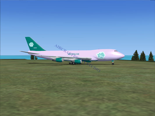 Mistmane Boeing 747-200 (Digital Image) Digital Image