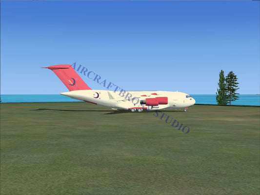 Moon Dancer Boeing C-17 (Digital Image) Digital Image