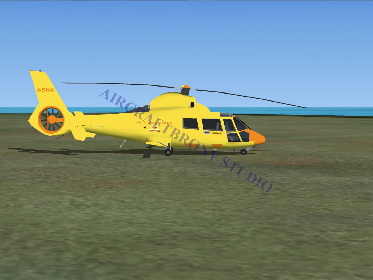 Mr. Carrot Cake Aerospatiale HH65 Dolphin (Digital Image) Digital Image