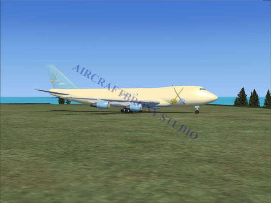 Mr. Paleo Boeing 747-200 (Digital Image) Digital Image