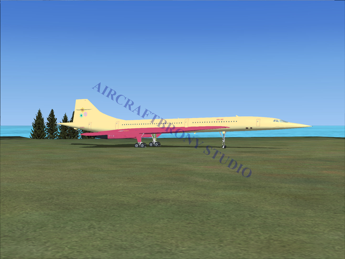 Mrs. Shy Aerospatiale Concorde (Digital Image) Digital Image