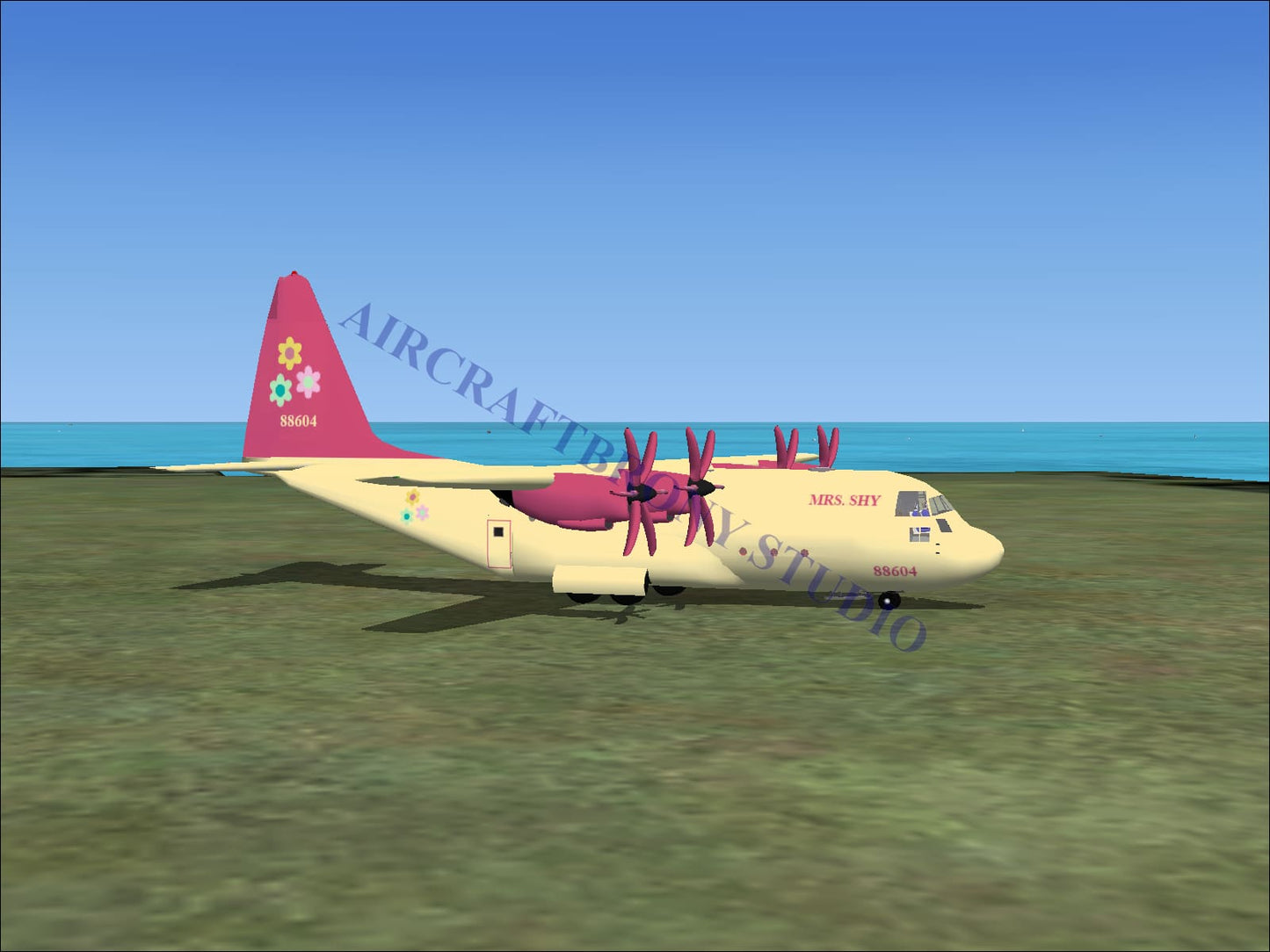 Mrs. Shy Lockheed C-130 (Digital Image) Digital Image