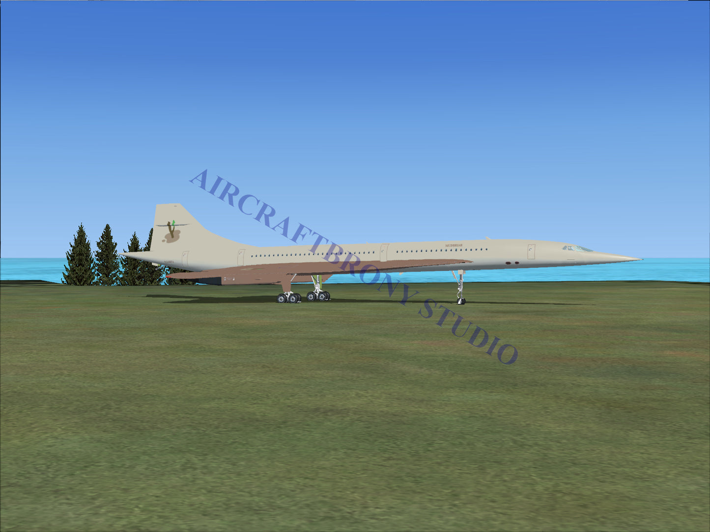 Mudbriar Aerospatiale Concorde (Digital Image) Digital Image