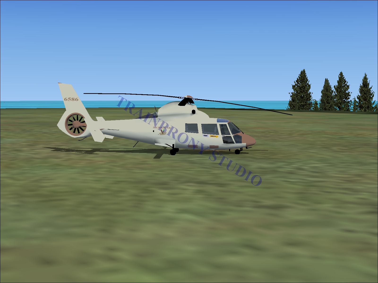 Mudbriar Aerospatiale HH65 Dolphin (Digital Image) Digital Image