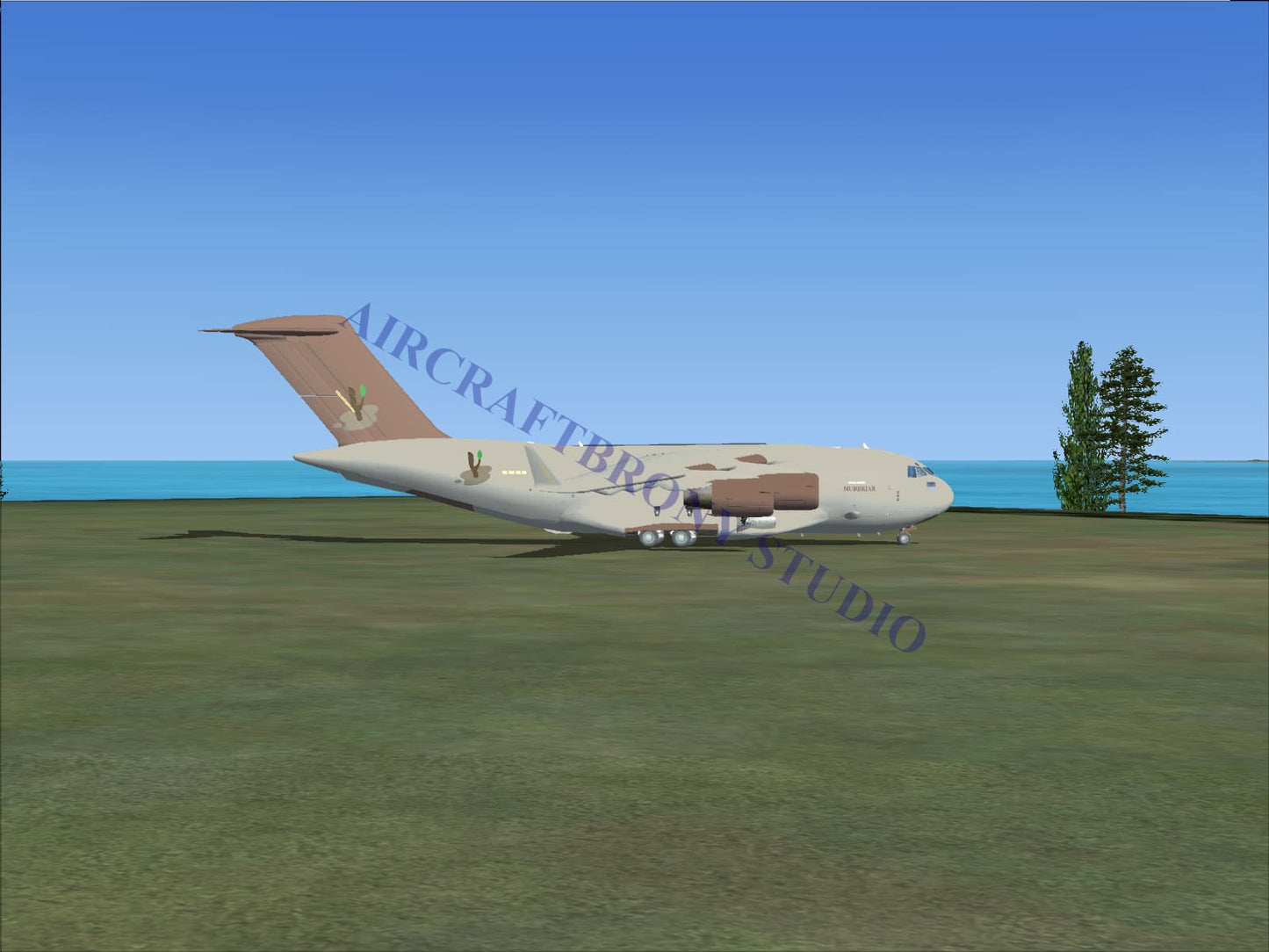 Mudbriar Boeing C-17 (Digital Image) Digital Image