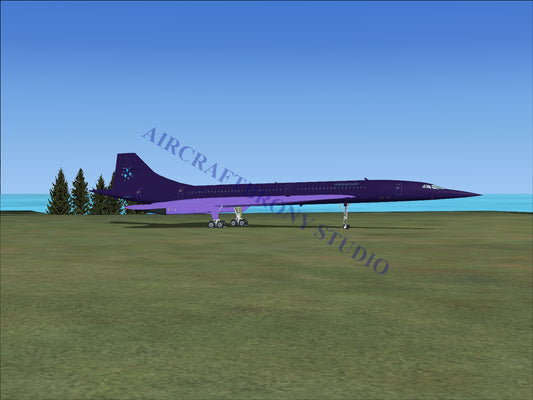 Nightmare Rarity Aerospatiale Concorde (Digital Image) Digital Image