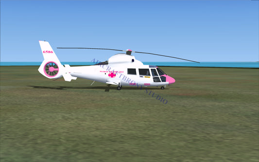 Nurse Redheart Aerospatiale HH65 Dolphin (Digital Image) Digital Image