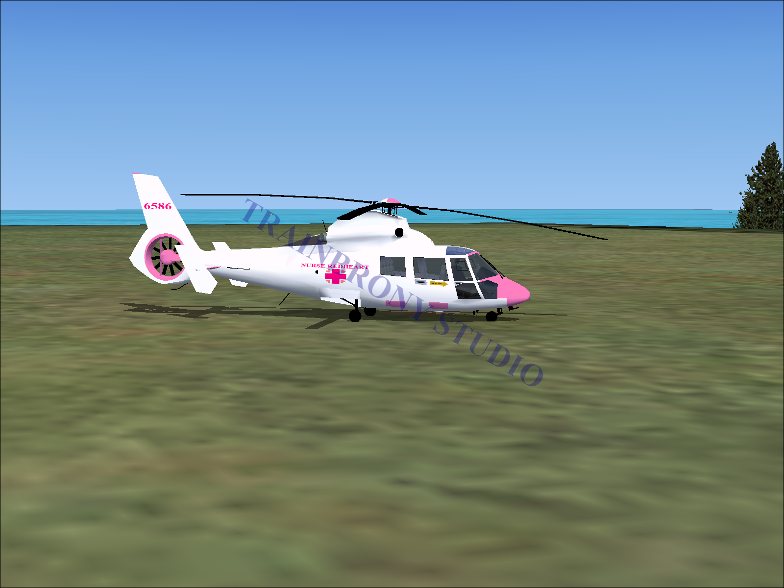 Nurse Redheart Aerospatiale HH65 Dolphin (Digital Image) Digital Image