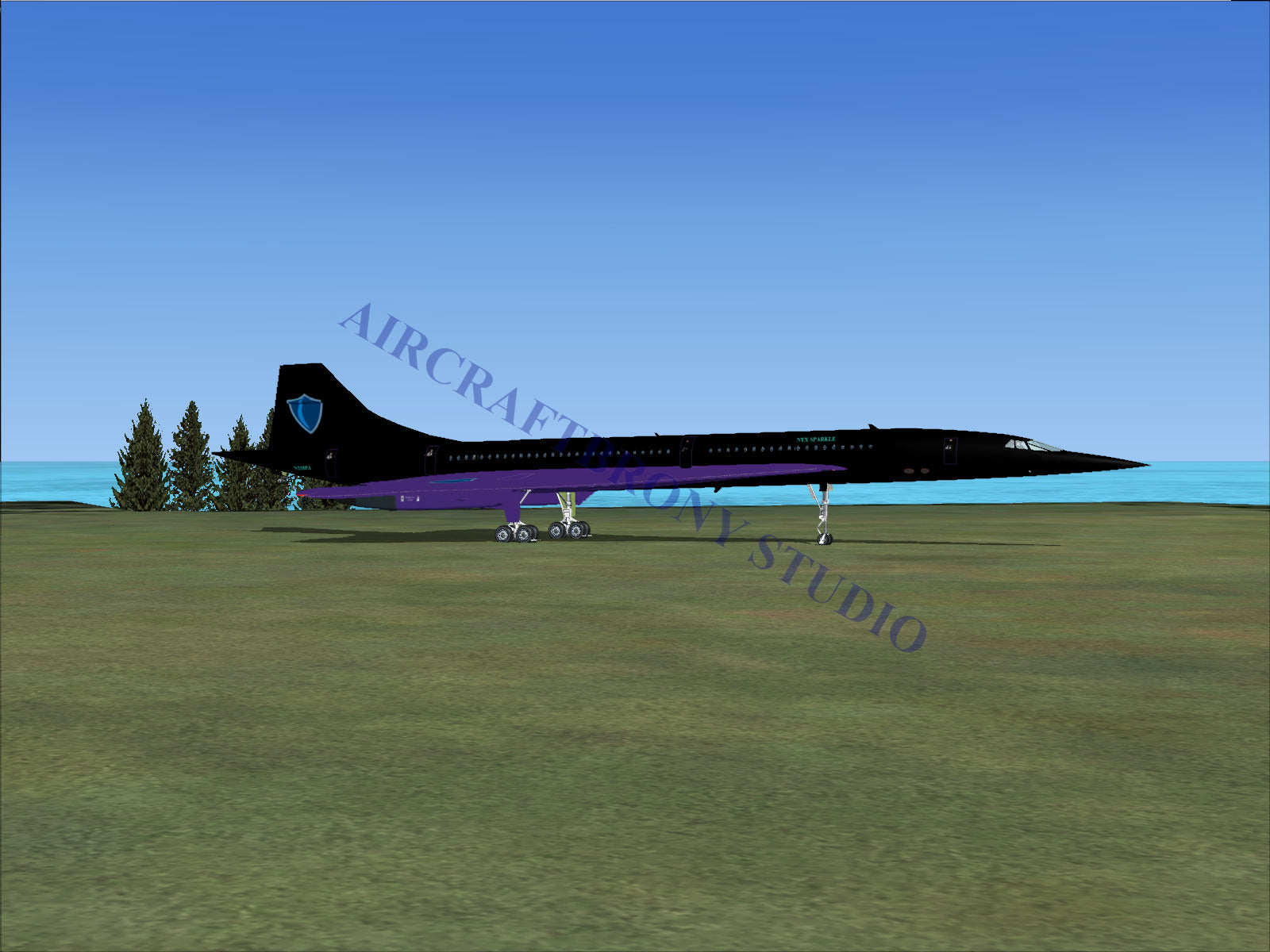 Nyx Sparkle Aerospatiale Concorde (Digital Image) Digital Image
