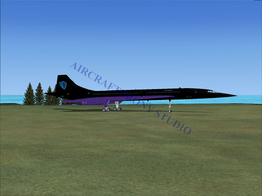 Nyx Sparkle Aerospatiale Concorde (Digital Image) Digital Image