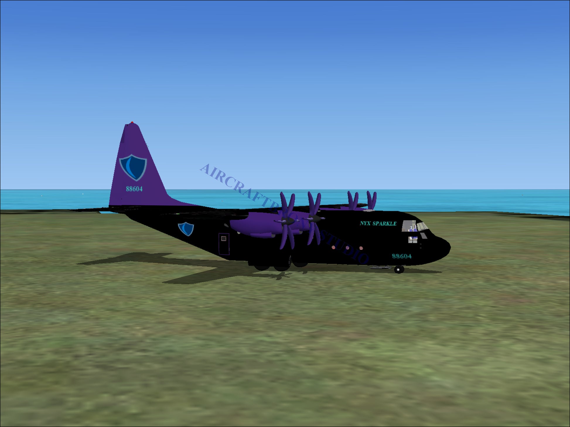 Nyx Sparkle Lockheed C-130 (Digital Image) Digital Image