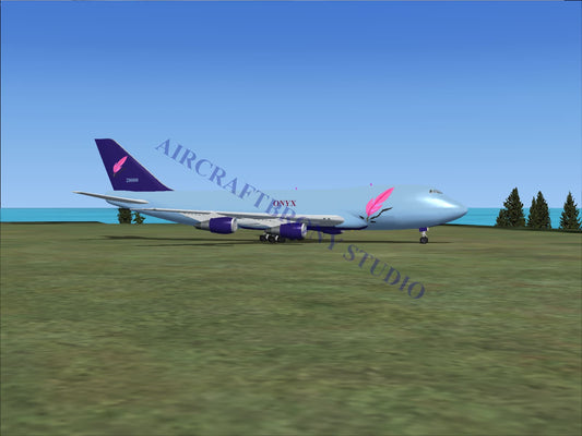 Onyx Boeing 747-200 (Digital Image) Digital Image