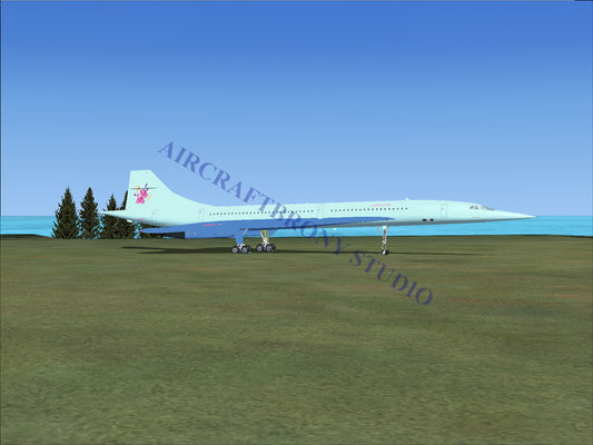 Party Favor Aerospatiale Concorde (Digital Image) Digital Image