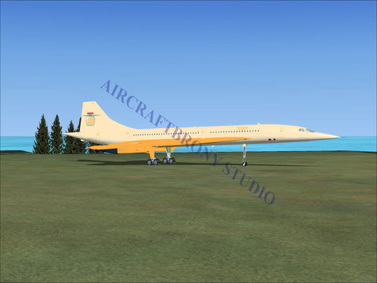 Pear Butter Aerospatiale Concorde (Digital Image) Digital Image