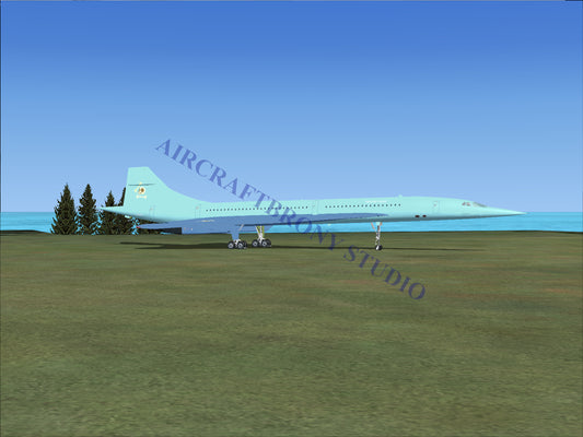 Petunia Paleo Aerospatiale Concorde (Digital Image) Digital Image