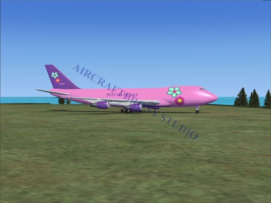 Petunia Petals Boeing 747-200 (Digital Image) Digital Image