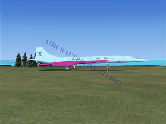 Photo Finish Aerospatiale Concorde (Digital Image) Digital Image