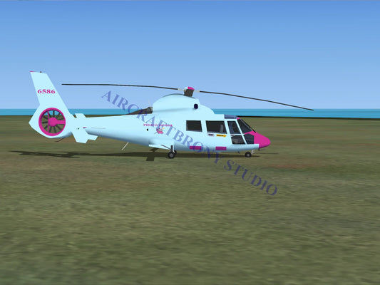 Photo Finish Aerospatiale HH65 Dolphin (Digital Image) Digital Image
