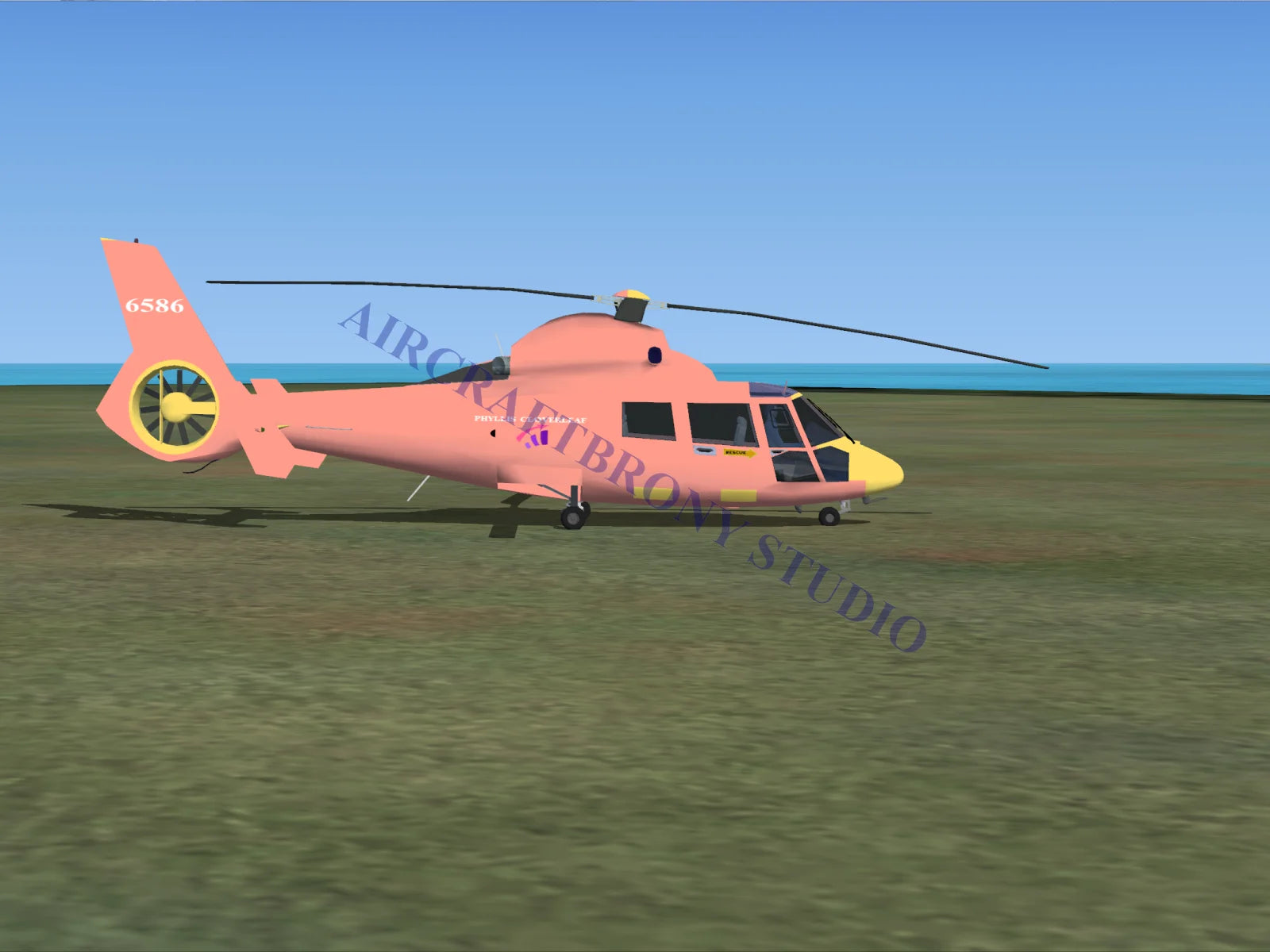 Phyllis Cloverleaf Aerospatiale HH65 Dolphin (Digital Image) Digital Image