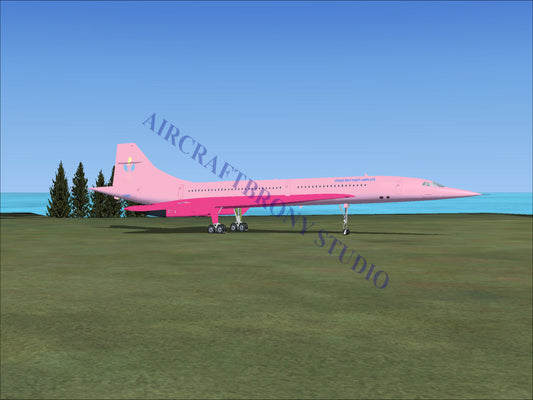 Pinkie Pie’s Aerospatiale Concorde (Digital Image) Digital Image