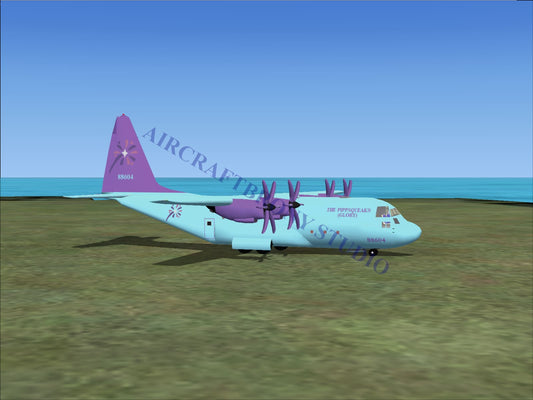 Pippsqueaks (Glory) Lockheed C-130 (Digital Image) Digital Image