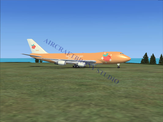 Pippsqueaks (Peach Fizz) Boeing 747-200 (Digital Image) Digital Image