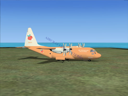 Pippsqueaks (Peach Fizz) Lockheed C-130 (Digital Image) Digital Image