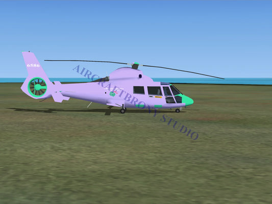 Pippsqueaks (Seashell) Aerospatiale HH65 Dolphin (Digital Image) Digital Image