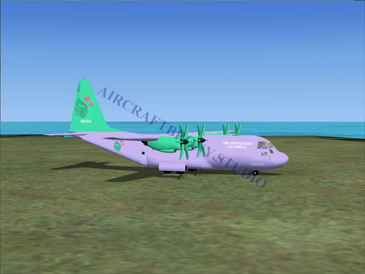 Pippsqueaks (Seashell) Lockheed C-130 (Digital Image) Digital Image
