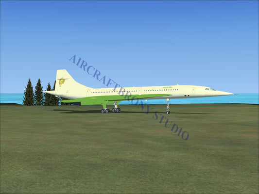Pistachio Aerospatiale Concorde (Digital Image) Digital Image